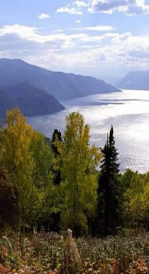 Интернет-магазин Зелёная аптека